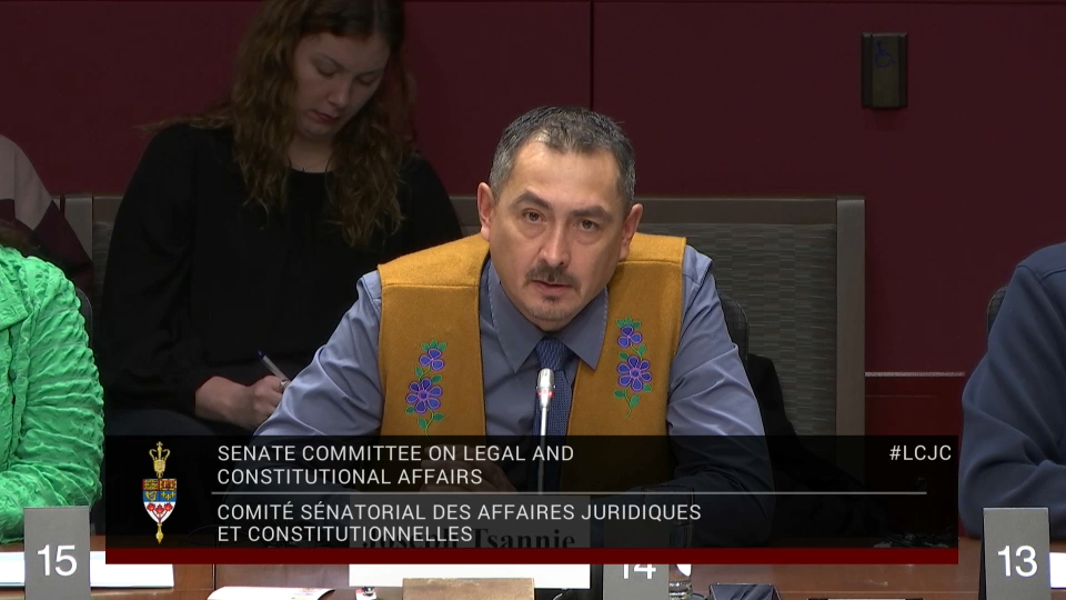 Les comités du Sénat : Affaires juridiques et constitutionnelles – 25 février 2026