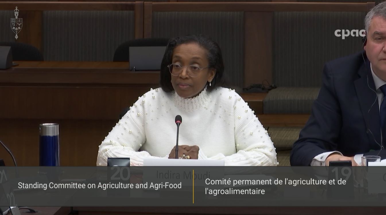 In Committee from the House of Commons : Agriculture and Agri-Food – February 3, 2026