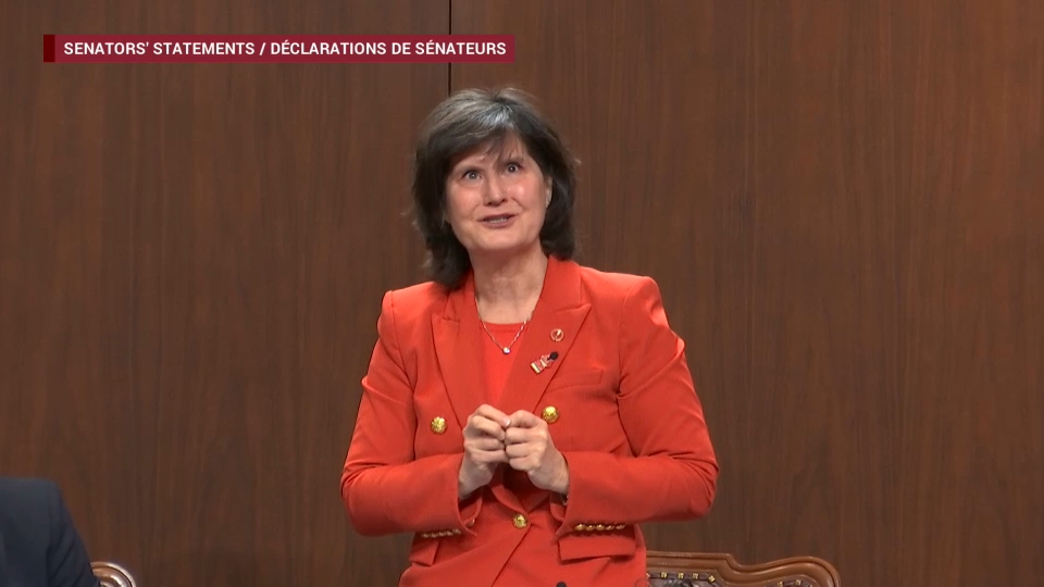 Senate Proceedings : March 24, 2026