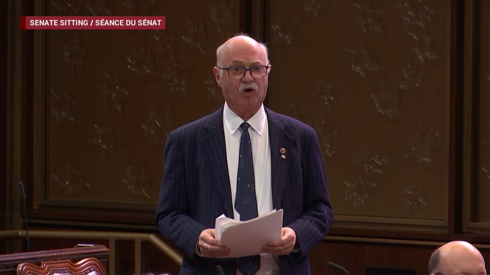 Délibérations du Sénat : 11 mars 2026