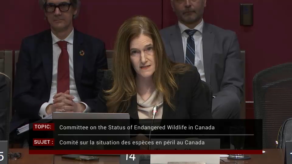 Les comités du Sénat : Énergie, environnement et ressources naturelles – 10 mars 2026