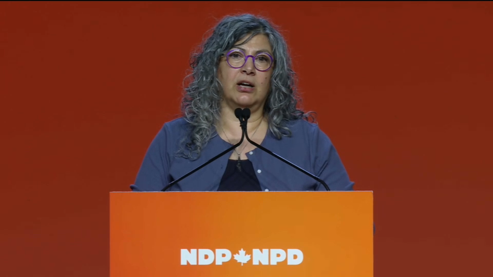 Émission spéciale : Congrès du NPD 2026 – Plénière d’orientation sur les droits et l’identité