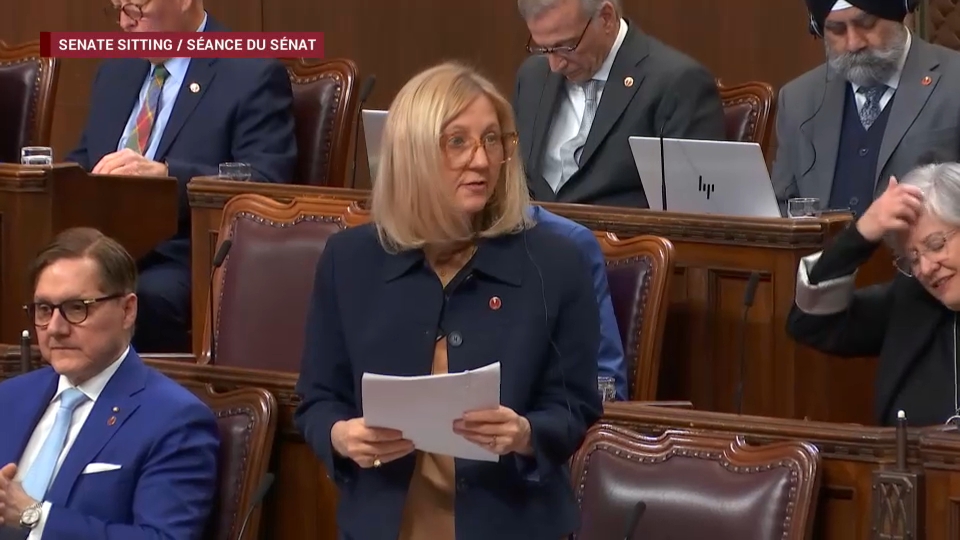 Senate Proceedings : March 25, 2026