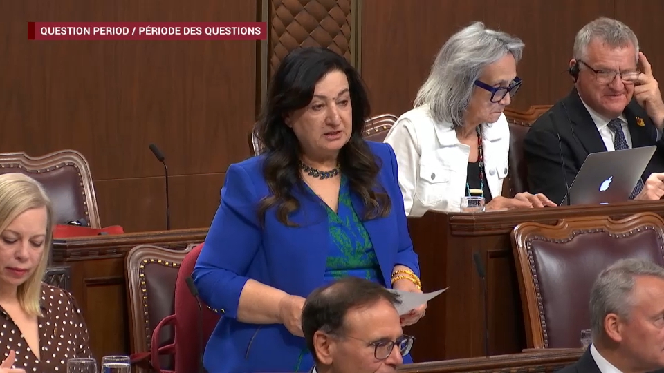 Période des questions au Sénat : 28 avril 2026