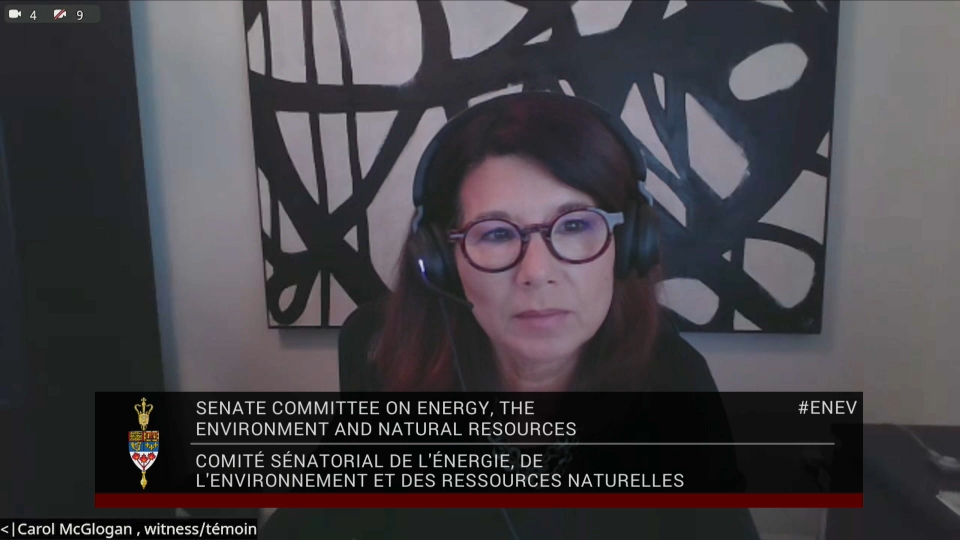 In Committee from the Senate of Canada : Energy, the Environment and Natural Resources – April 16, 2026