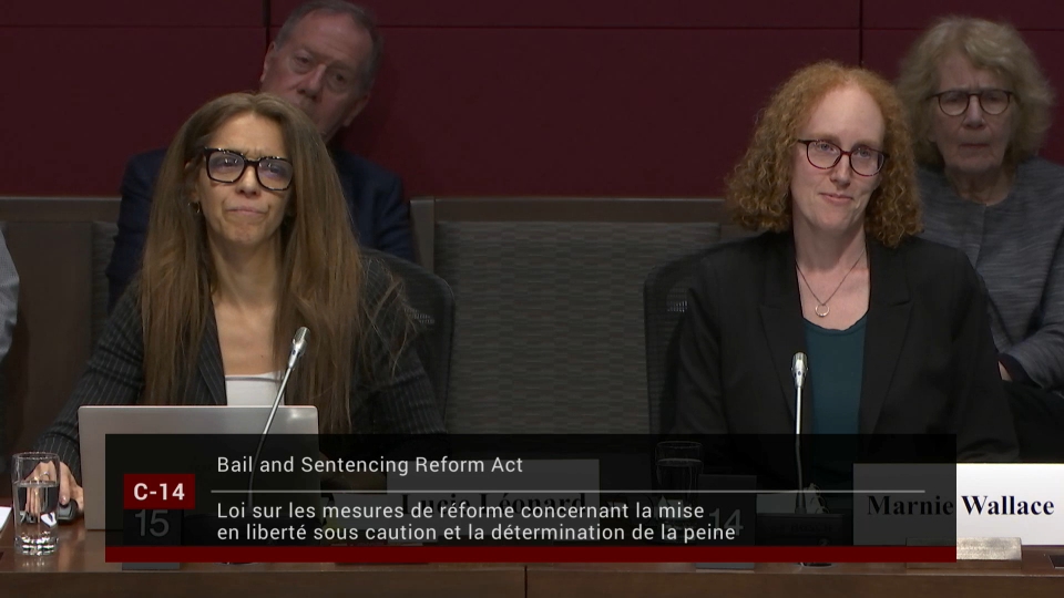 Les comités du Sénat : Affaires juridiques et constitutionnelles – 29 avril 2026