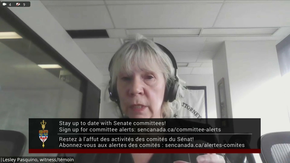 Les comités du Sénat : Affaires juridiques et constitutionnelles – 16 avril 2026