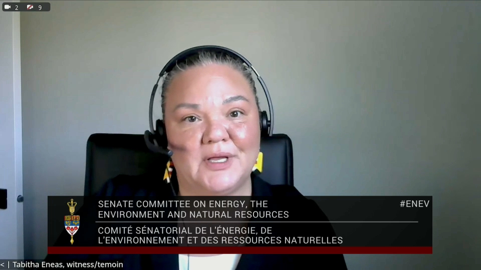 Les comités du Sénat : Énergie, environnement et ressources naturelles – 23 avril 2026