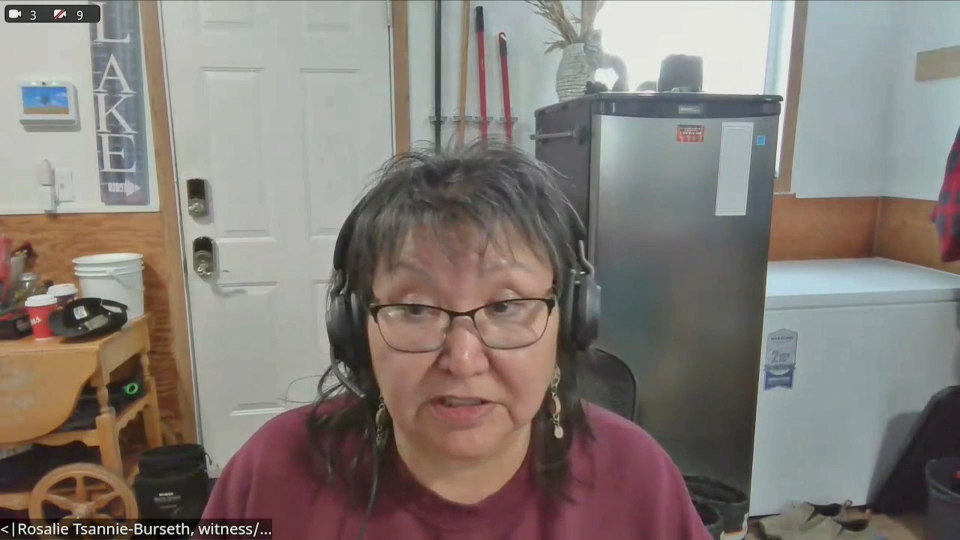 In Committee from the Senate of Canada : Indigenous Peoples – April 15, 2026