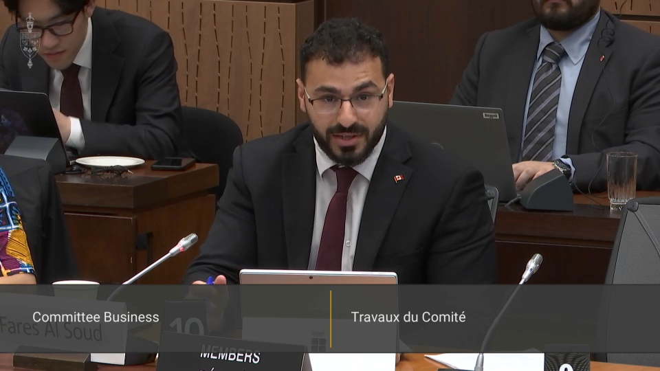 Les comités de la chambre des communes : Accès à l'info., protection des renseignements personnels & éthique