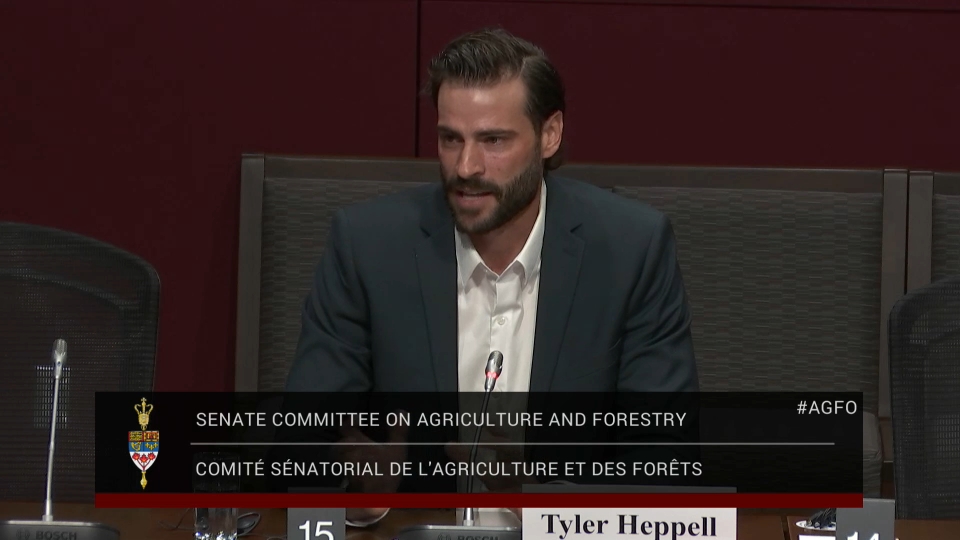 In Committee from the Senate of Canada : Agriculture and Forestry – May 7, 2026