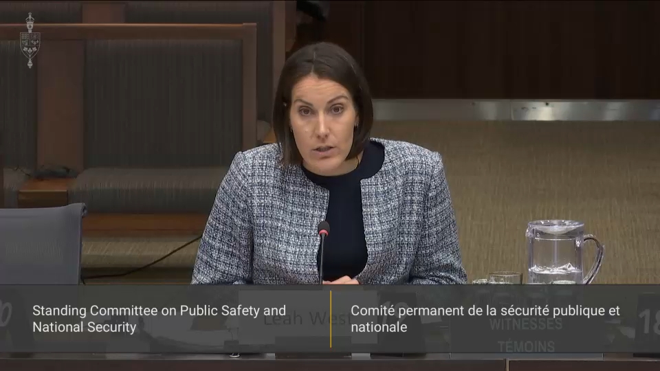 In Committee from the House of Commons : Public Safety and National Security – May 7, 2026