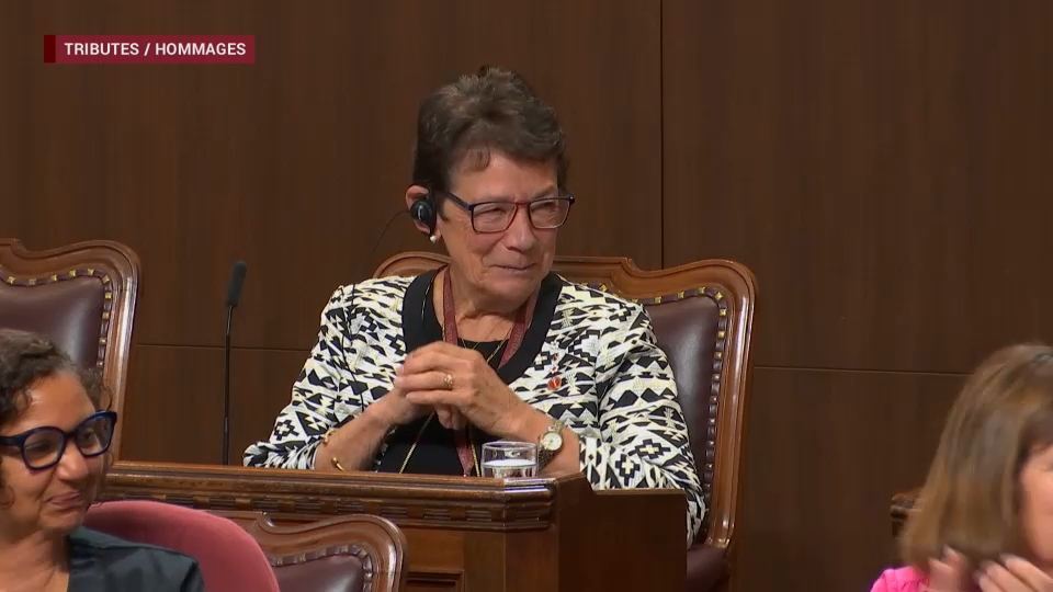 Senate Proceedings : June 17, 2026
