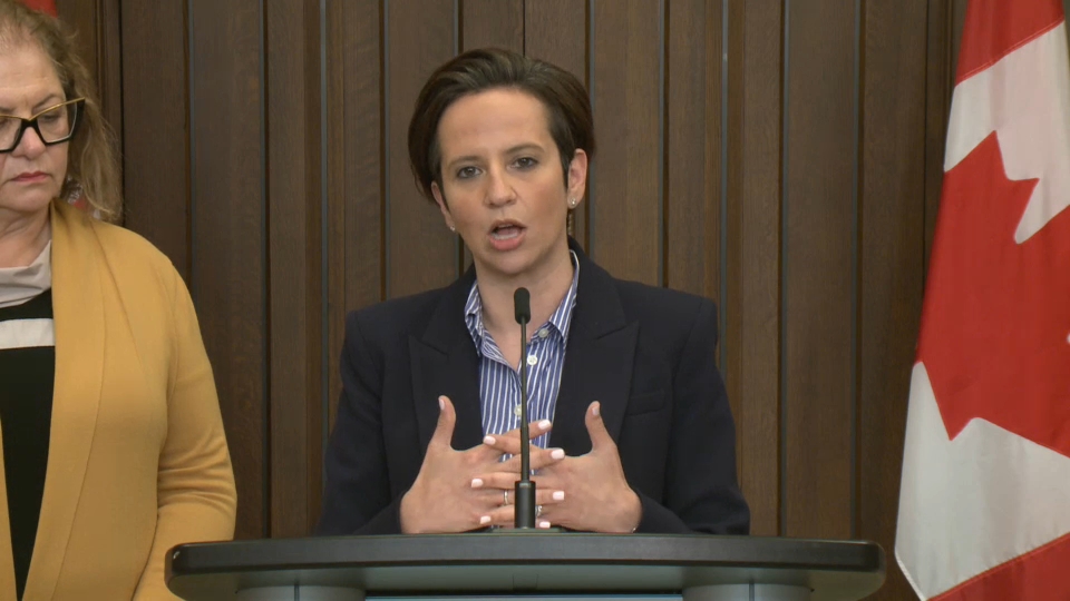 Headline Politics : Conservative Deputy Leader Lantsman Introduces Anti-Online-Fraud Bill