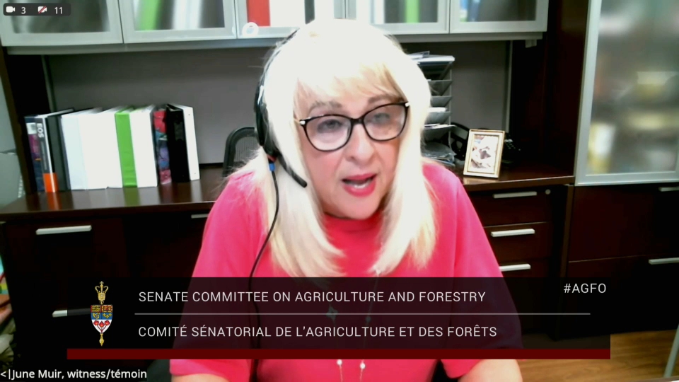 Les comités du Sénat : Agriculture et forêts – 9 juin 2026
