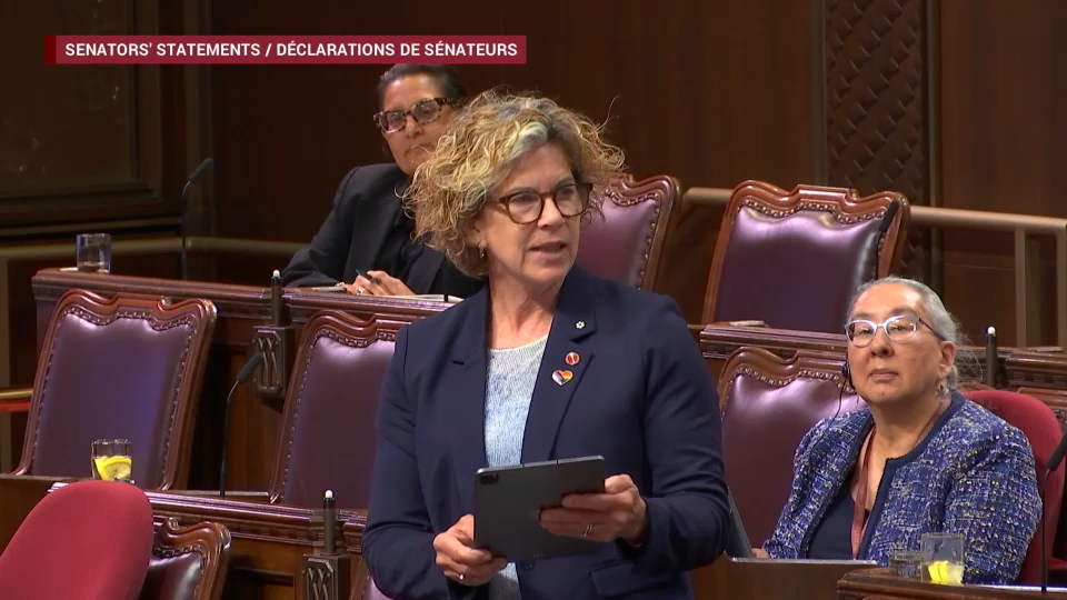 Délibérations du Sénat : 15 juin 2026