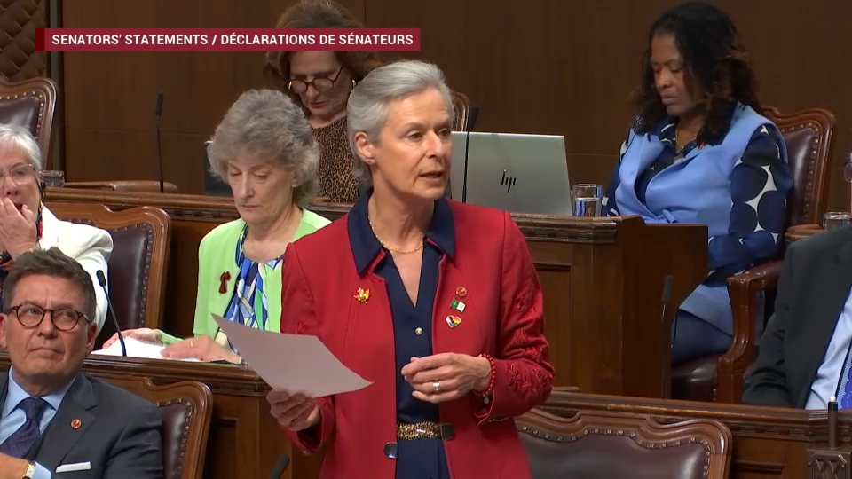 Délibérations du Sénat : 3 juin 2026