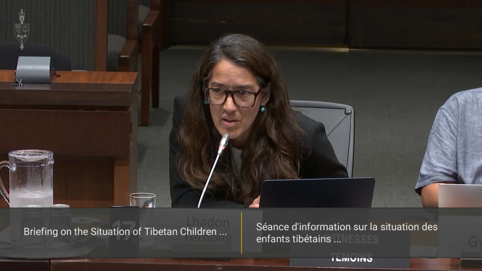 Les comités de la chambre des communes : Droits internationaux de la personne – 8 juin 2026