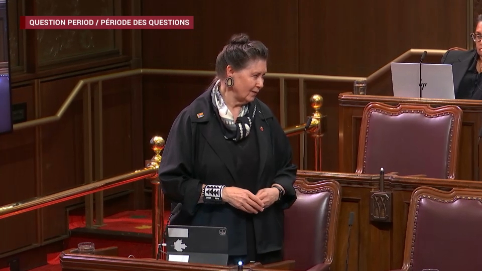 Période des questions au Sénat : 15 juin 2026