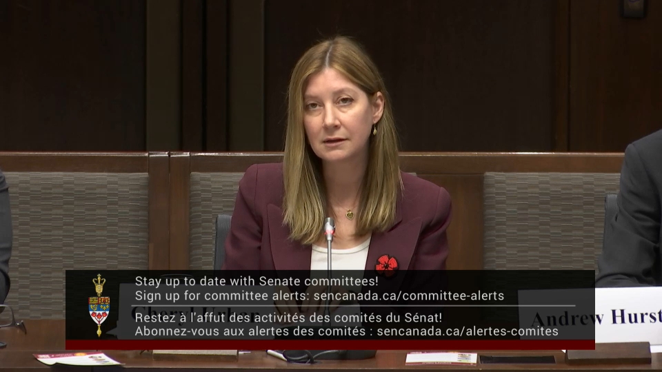 In Committee from the Senate of Canada : Foreign Affairs and International Trade – October 28, 2026