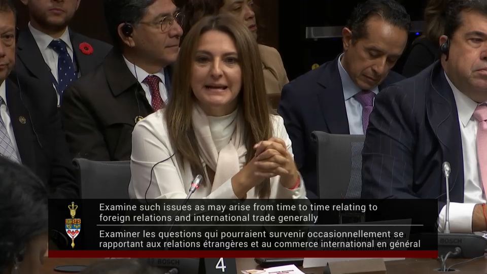 In Committee from the Senate of Canada : Foreign Affairs and International Trade – October 29, 2026