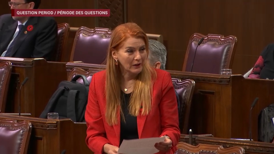 Période des questions au Sénat : 29 octobre 2026