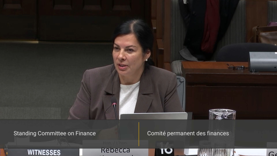 In Committee from the House of Commons : Finance – October 20, 2026