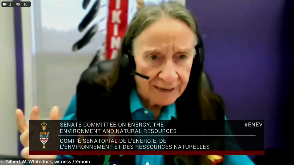 In Committee from the Senate of Canada : Energy, the Environment and Natural Resources – October 29, 2026