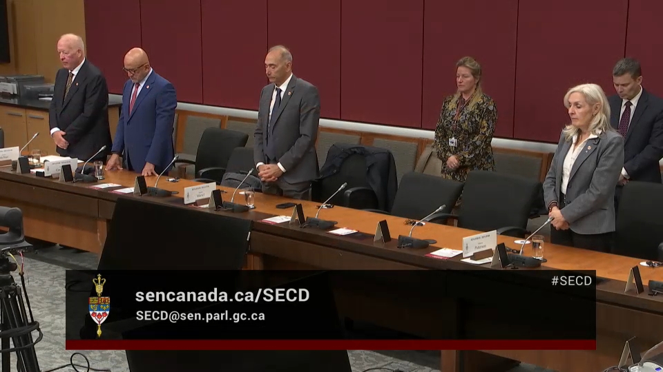 In Committee from the Senate of Canada : National Security, Defence and Veterans Affairs – October 19, 2026