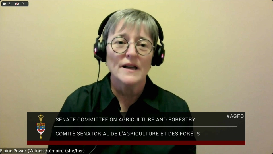 In Committee from the Senate of Canada : Agriculture and Forestry – October 22, 2026