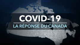 COVID-19