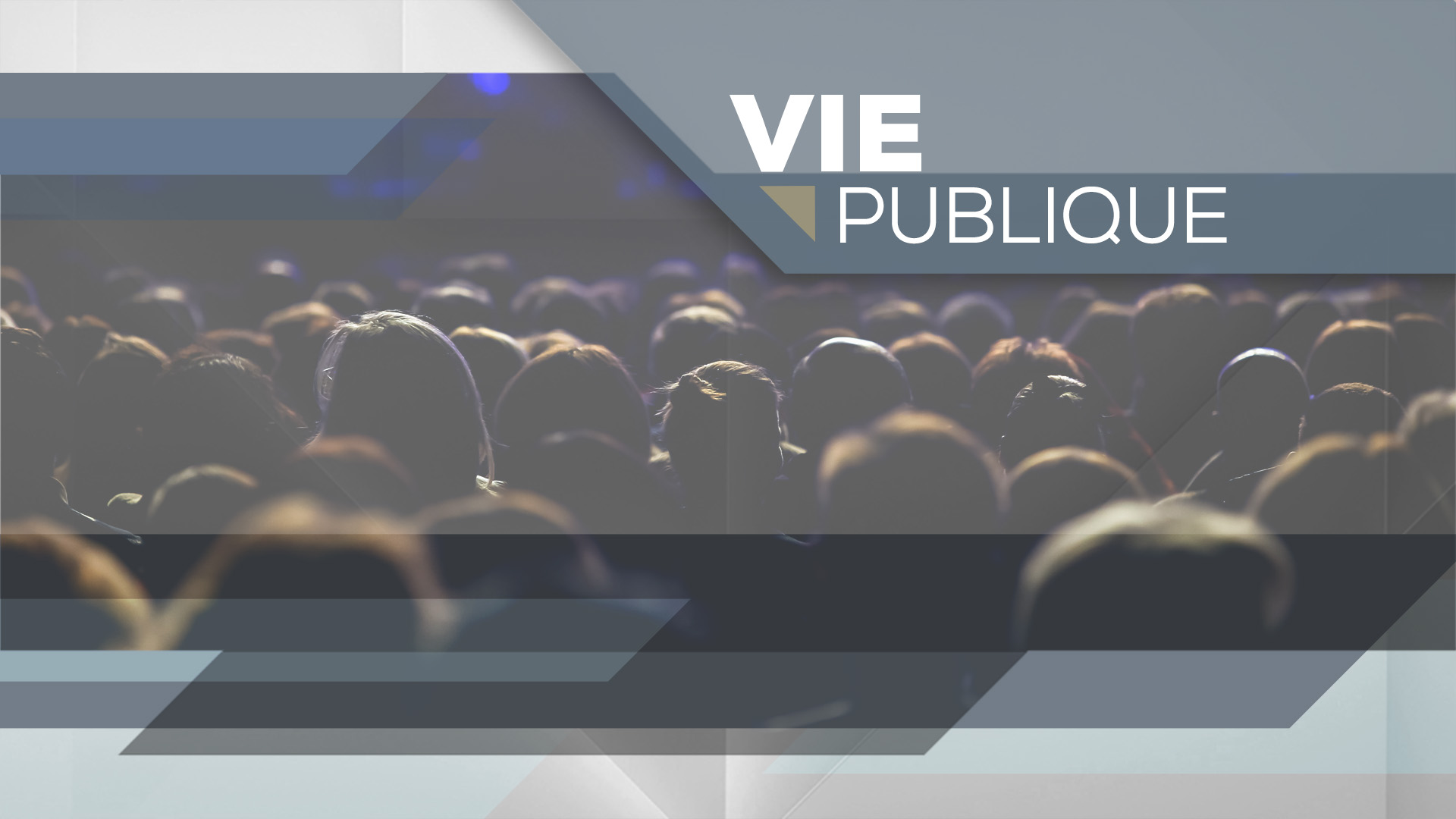 Vie publique