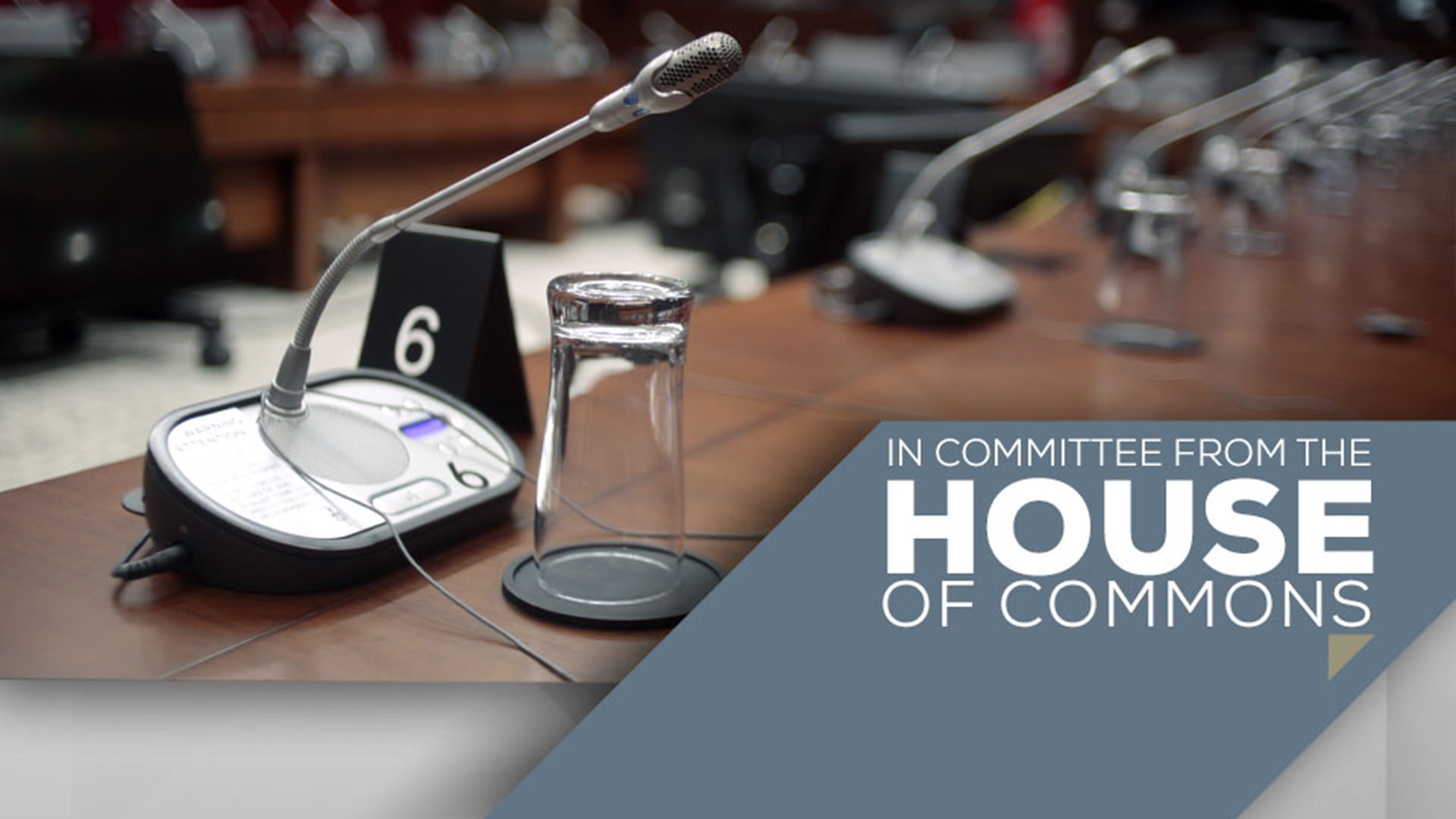 In Committee from the House of Commons